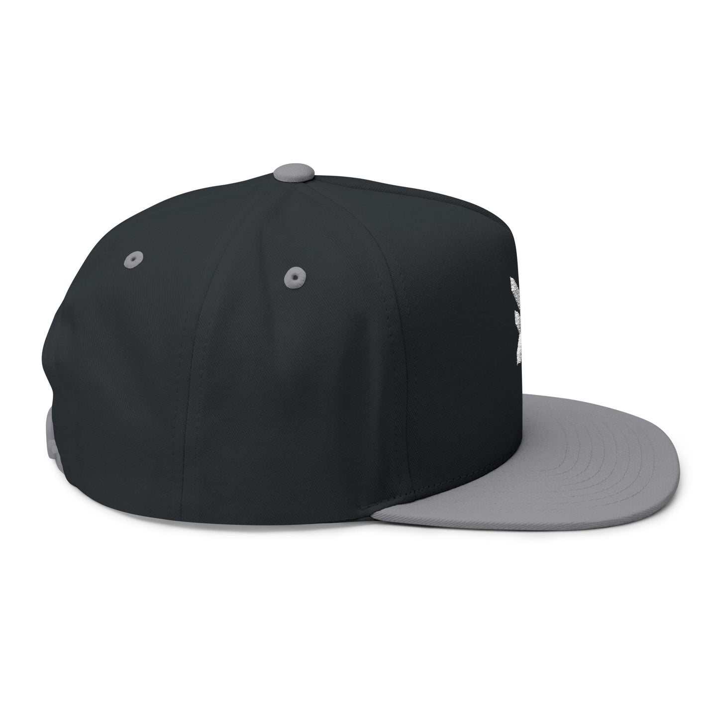 BEING ESPORTS Cap - Flacher Schirm
